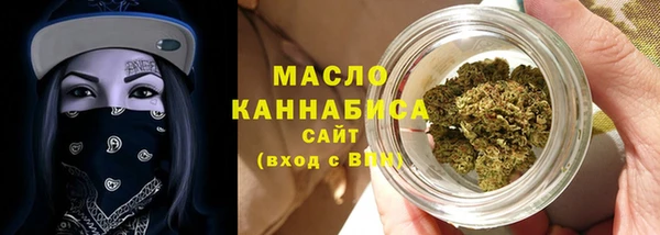 мдпв Осташков
