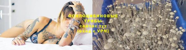 мдпв Осташков