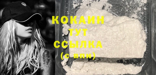 Альфа ПВП Осинники
