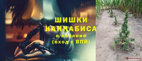 мдпв Осташков