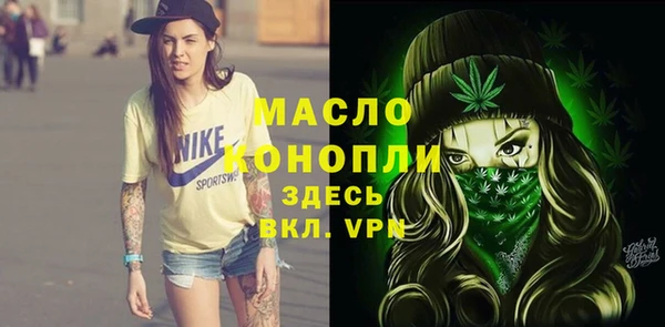 мдпв Осташков