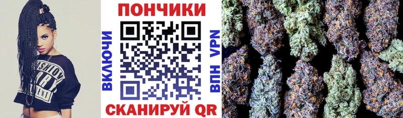 Купить  Камышин  Бошки марихуана план 